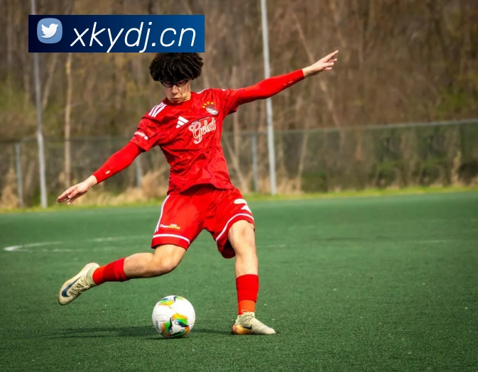 爱游戏ayx登录平台发展历程